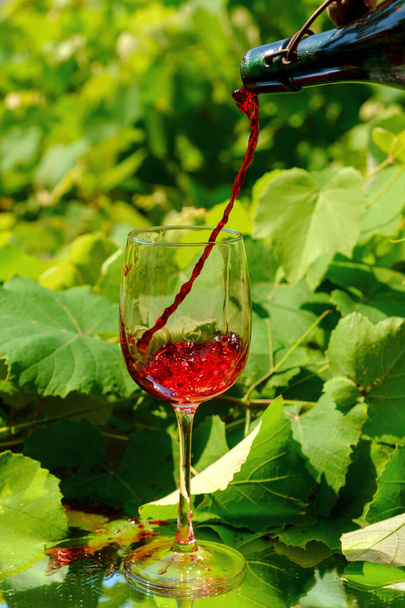 Červené víno se nalévá ve sklenici vína, rozmazané vinice pozadí - Fotografie, Obrázek