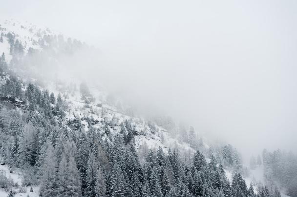 Paysages d'hiver
 - Photo, image