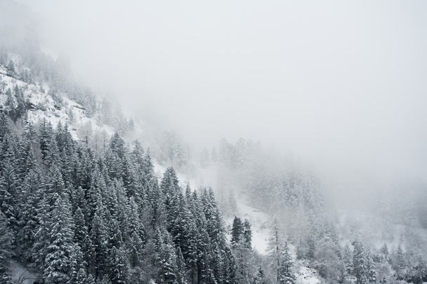 Cenário de inverno
 - Foto, Imagem
