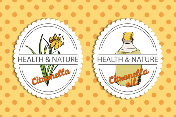 Υγεία και συλλογή φύση. Citronella - Διάνυσμα, εικόνα