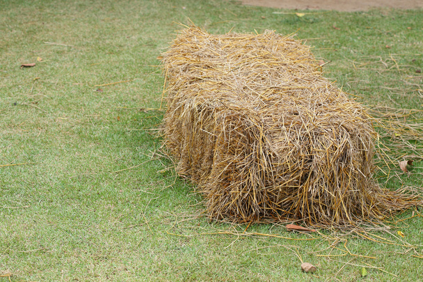 stapel van stro gebruikt dierlijk voedsel in boerderij - Foto, afbeelding