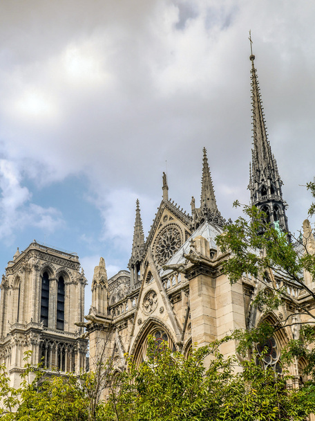 Notre Dame Cathedral - Photo, image