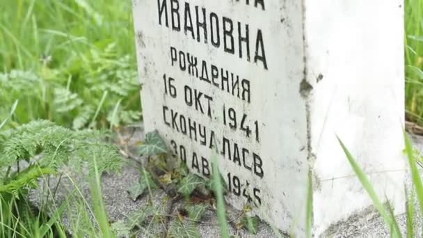 SSSR za druhé světové války důstojník hrob - Záběry, video
