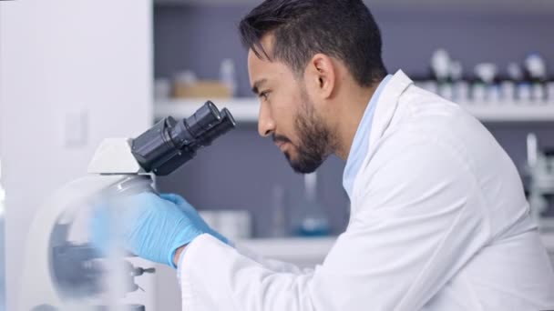 Microbiology, research and scientist with a microscope for science, molecules analysis and biotechnology. Innovation, medicine and Asian doctor working in a lab for medical analytics and healthcare. - Imágenes, Vídeo