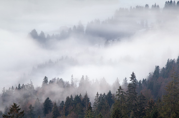 husté mlhy v horách, Alpy - Fotografie, Obrázek