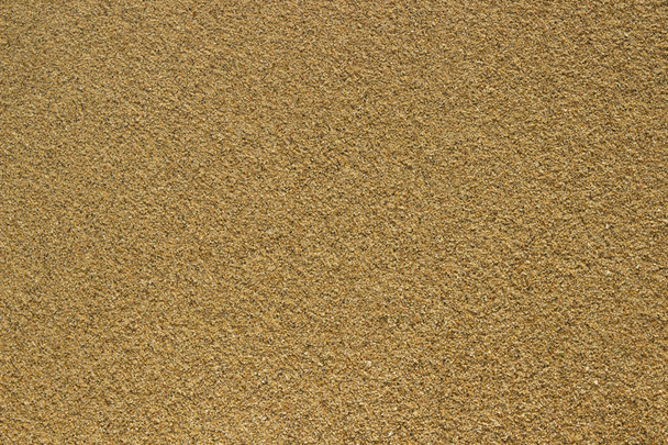 gold sandy - Фото, зображення