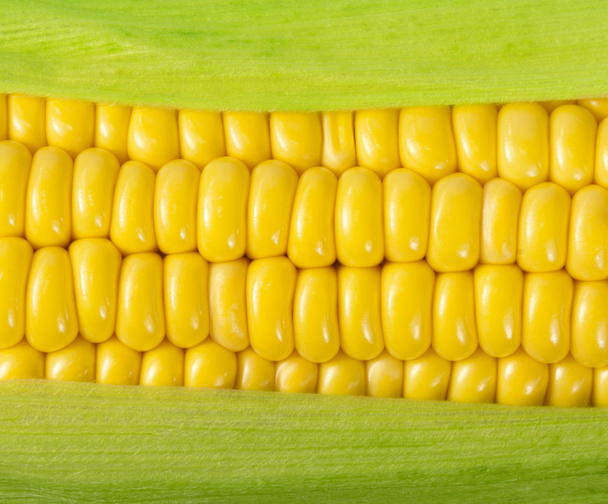 Reifer Mais auf dem Maiskolben - Foto, Bild