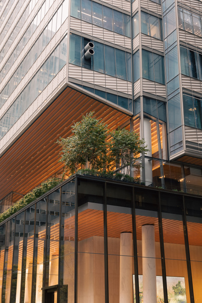 edificio moderno con facciata in vetro e piante verdi sulla terrazza a New York - Foto, immagini