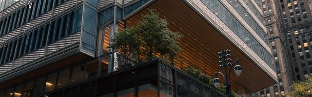 зеленые растения на террасе современного здания в Манхэттене, Нью-Йорк, баннер - Фото, изображение