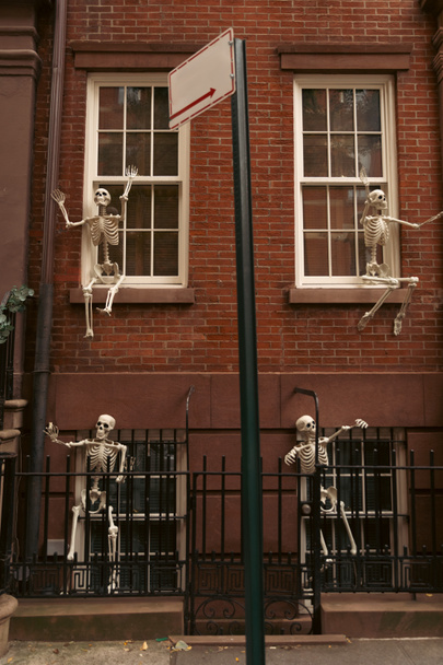 brick house with creepy Halloween skeletons on white windows in New York City - Foto, immagini