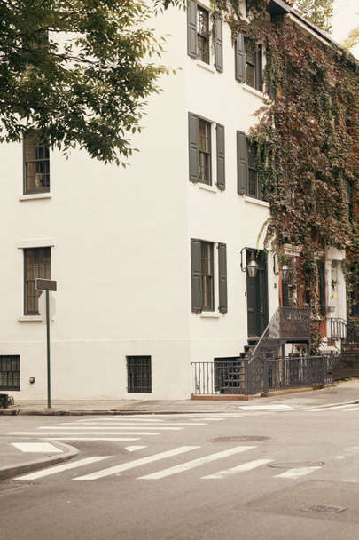 Здание с плющом на белом фасаде на улице в Нью-Йорке - Фото, изображение