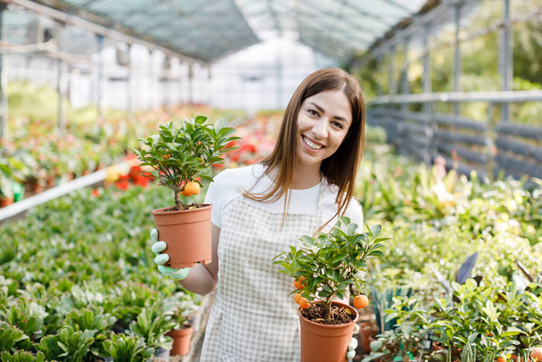 Woman holds a pot of flowers in her hands, growing plants for sale, plant as a gift, flowers in a greenhouse - Photo, Image