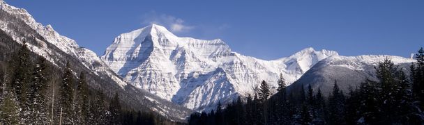 Robson de montaña
 - Foto, imagen