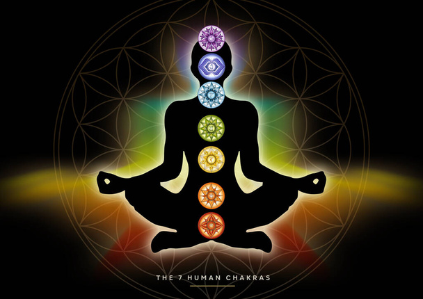 7 Chakra symbols and Flower of Life. Human energy body, aura, yoga lotus pose. Powerful decor for meditation and chakra energy healing. Perfect for kinesiology practitioners, massage therapists, reiki healers, yoga studios or your meditation space. - Φωτογραφία, εικόνα