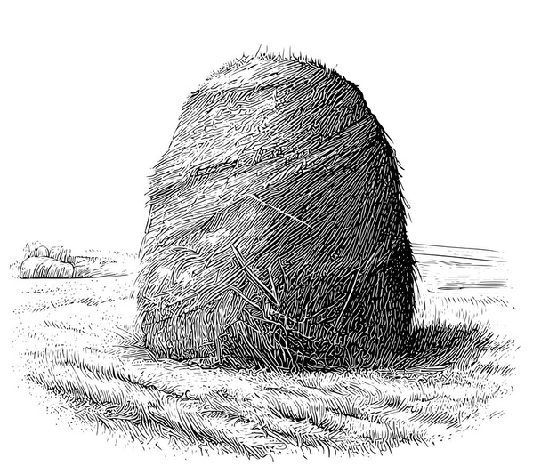 Haystack sketch hand drawn in doodle style Vector illustration - Vettoriali, immagini