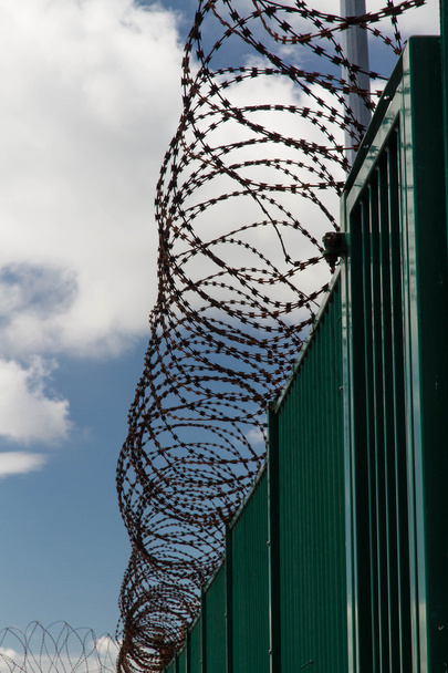 Стрічка колюча армована на вершині зеленого паркану охоронного французький поромного терміналу. - Фото, зображення