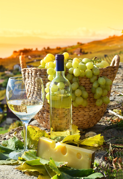 şarap ve üzüm. Lavaux bölge, İsviçre  - Fotoğraf, Görsel
