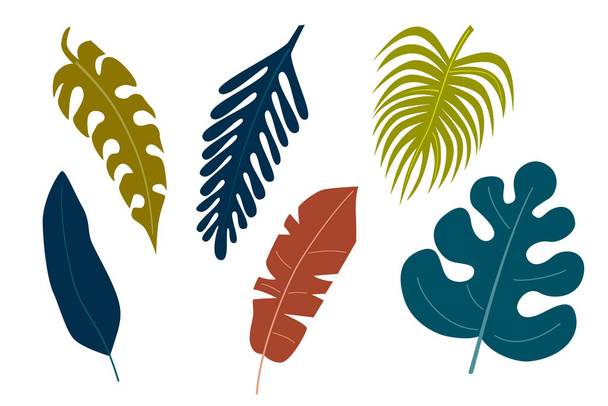 Modern set with tropical leaves, dense jungle. Minimalistic botanical pattern, trendy colors. - Vektor, obrázek