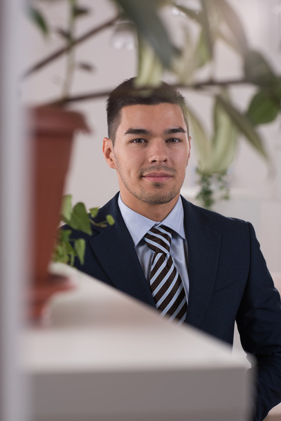 Smiling businessman in suit  - Foto, immagini