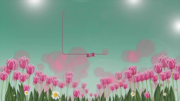 Video animation to commemorate valentine's day which is celebrated every february 14th. - Materiał filmowy, wideo
