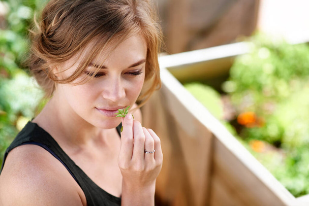 Люблю запах свежих трав. Молодая женщина нюхает травы в своем саду - Фото, изображение