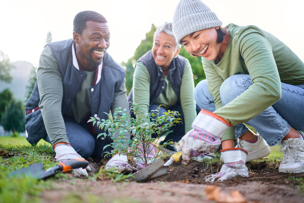 Gardening, community service and people volunteering in park, garden and nature for sustainability. Climate change, happy team and tree plants in sand for earth day project, growth and green ecology. - Photo, image