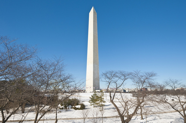 Pomnik Waszyngtona w centrum handlowym w Dc, Stany Zjednoczone Ameryki - Zdjęcie, obraz