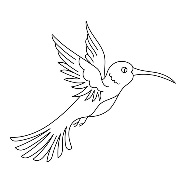 Hummingbird bird. Editable outline stroke. Vector line illustration. Open paths. - Vektör, Görsel