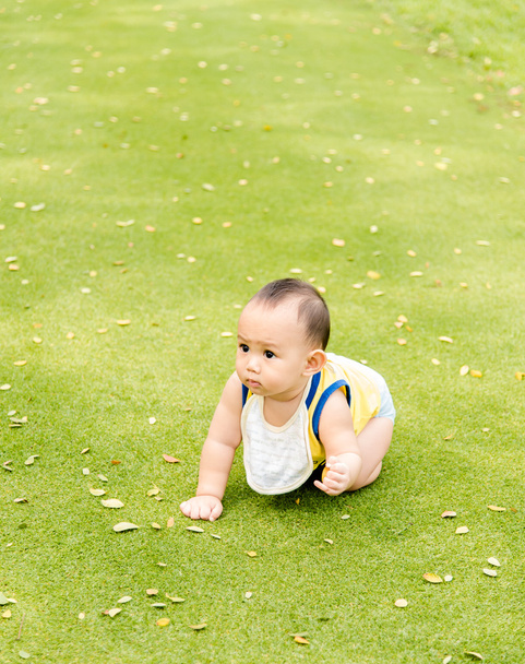 Baby playing  on the grass field - Foto, immagini