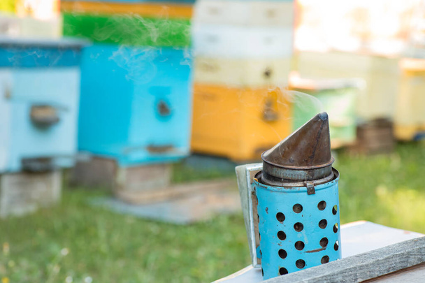 Курильщик пчел на фоне пасеки с красочными ульями. Дым от пчелиного курильщика используется для успокоения пчел перед удалением рамы. - Фото, изображение