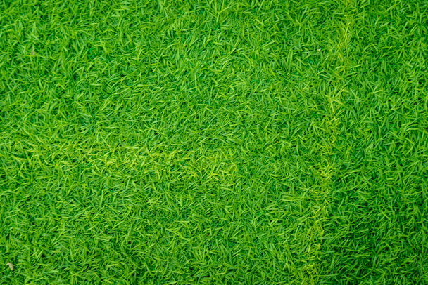 Green artificial grass natural - 写真・画像