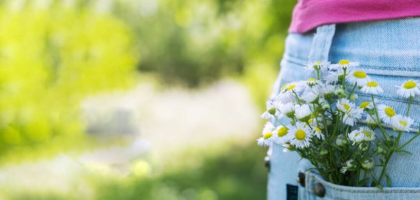 Wilde Blumen in der Hosentasche der Jeans auf grünem Hintergrund. Sommerkonzept für wilde Natur.. - Foto, Bild
