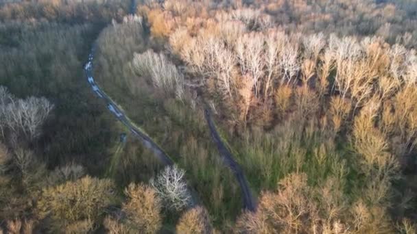Drone flight over Lunca Muresului National Park in Romania, Europe. - Felvétel, videó