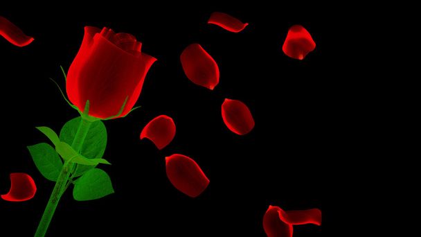 блискуча червона троянда з пелюстками на чорному тлі
 - Фото, зображення