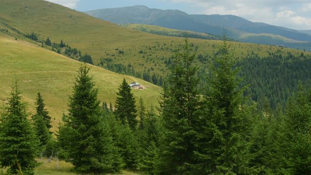 Yüksek irtifadaki bir dağlık çayırda vahşi kozalaklı ormanların arasında saklanan eski, ahşap bir koyun ağılı. Geleneksel Doğu Avrupa çiftçiliği. Parang Massif, Karpatlar, Romanya - Fotoğraf, Görsel