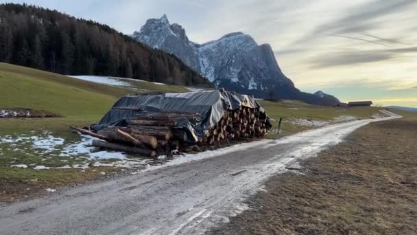 Logs cortados na estrada da montanha - Filmagem, Vídeo