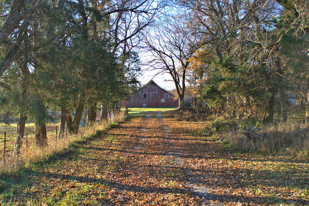 Czerwona stodoła na końcu podjazdu otoczona wczesną jesienną kolorystyką - Zdjęcie, obraz
