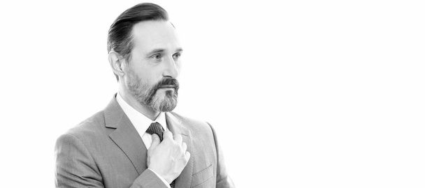 Man face portrait, banner with copy space. mature entrepreneur with grizzled hair in suit isolated on white copy space, elegance - Photo, image
