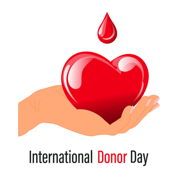 Světový den dárců, červené srdce s kapkou krve v ruce. Koncept medicíny. Nápis, plakát, vektor - Vektor, obrázek