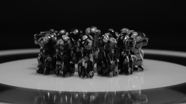 Copo de nieve obsidiana perros rotan en placa de vidrio
 - Metraje, vídeo
