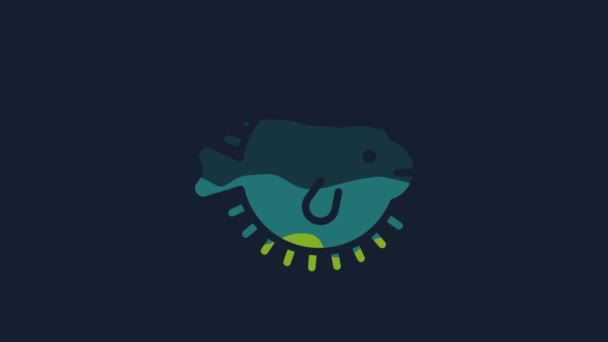 Yellow Puffer fish icon isolated on blue background. Fugu fish japanese puffer fish. 4K Video motion graphic animation. - Filmagem, Vídeo