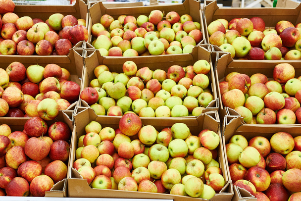 Apples on shop counter - 写真・画像