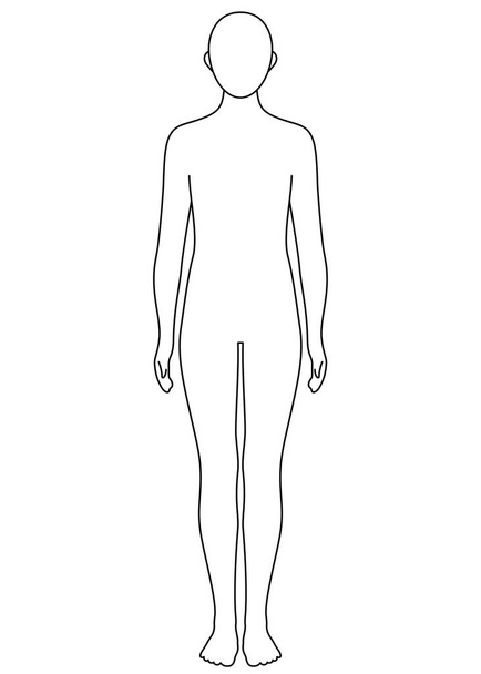 zarys ludzkiego ciała, przód, monochromatyczna ilustracja - Zdjęcie, obraz