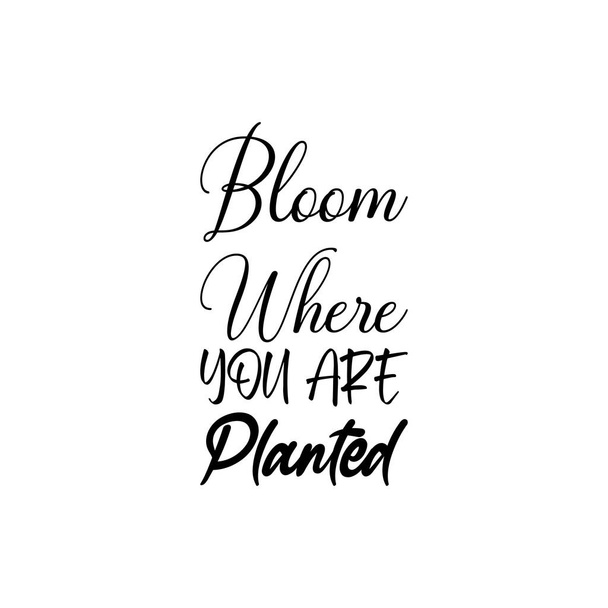 bloom where you are planted black letters quote - Vektör, Görsel