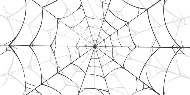 spider webs lineout Background white and black can be used according to your needs - Vector, imagen