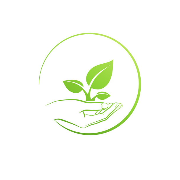 Hand holding plant, logo growth concept vector illustration - Vector, Imagen