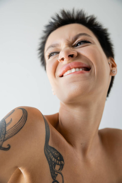 χαμηλή γωνία άποψη του ενθουσιασμένος τατουάζ γυναίκα με διαπεραστική δάγκωμα χείλος και κοιτάζοντας μακριά απομονώνονται σε γκρι - Φωτογραφία, εικόνα