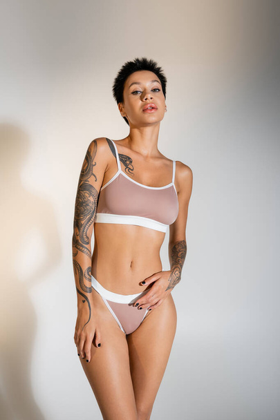 slender tattooed woman in bra and panties looking at camera on grey background - 写真・画像