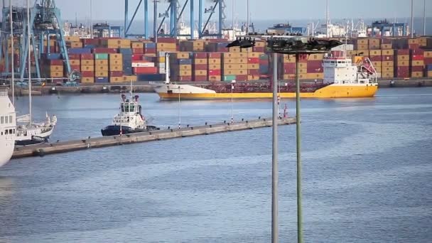 Container terminal, commercial port - Felvétel, videó