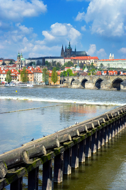 Charles bridge, Moldau river, Lesser town, Prague castle, Prague (UNESCO), Czech republic - 写真・画像